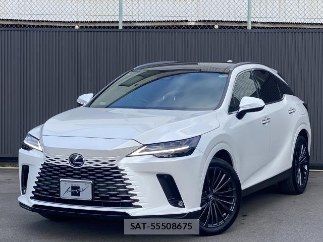 Lexus RX 2024-07 8651822-0