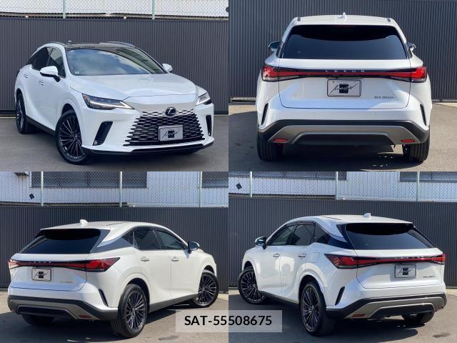 Lexus RX 2024-07 8651822-3