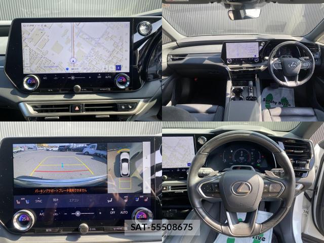 Lexus RX 2024-07 8651822-4