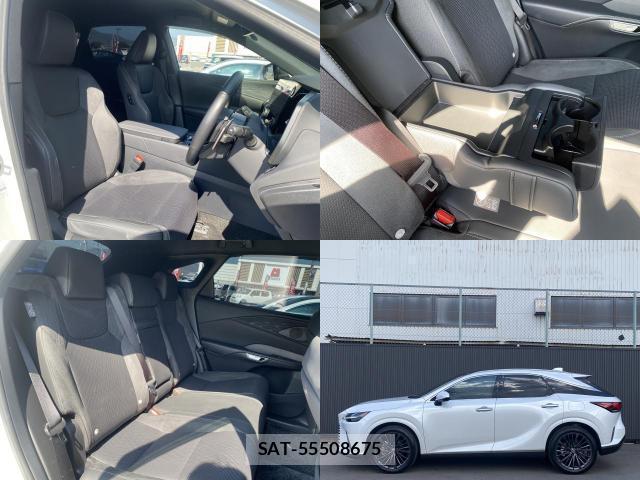 Lexus RX 2024-07 8651822-5