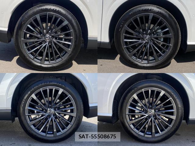 Lexus RX 2024-07 8651822-7