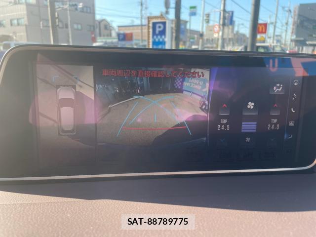 Lexus RX 2018-01 8651939-12