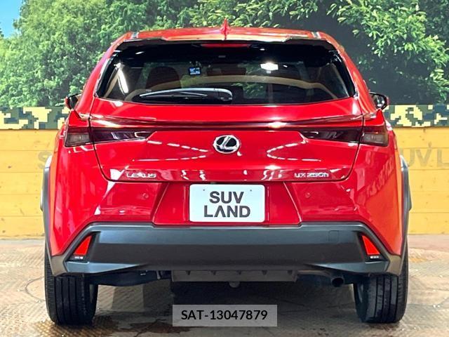 Lexus UX 2019-10 8647303-14