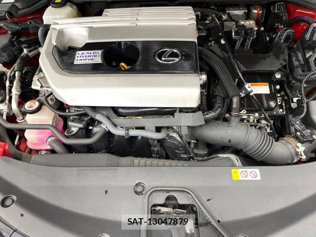 Lexus UX 2019-10 8647303-17