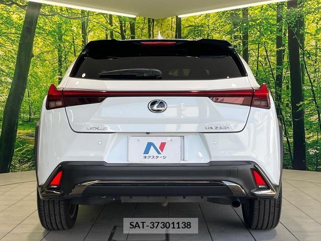 Lexus UX 2019-08 8648461-14
