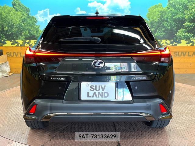 Lexus UX 2019-11 8649221-14