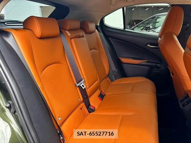 Lexus UX 2019-07 8653848-11
