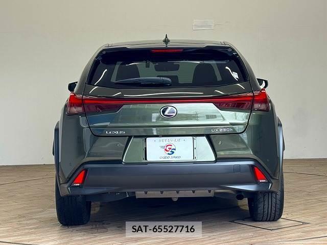 Lexus UX 2019-07 8653848-15
