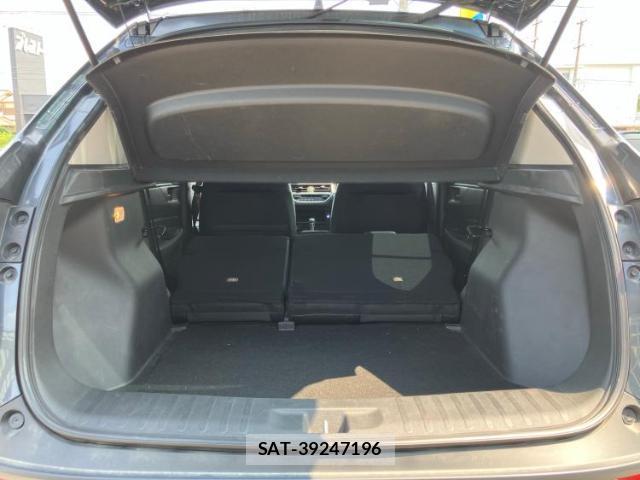 Honda WR-V 2024-08 8650805-7