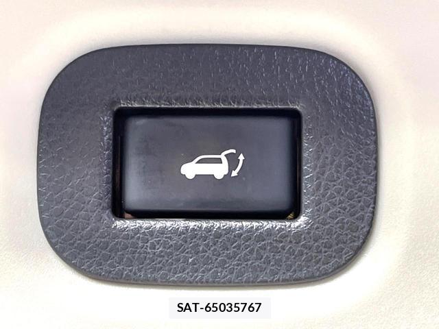 Nissan X-TRAIL 2015-08 8646926-7