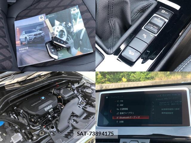 Bmw X1 2019-06 8651678-7