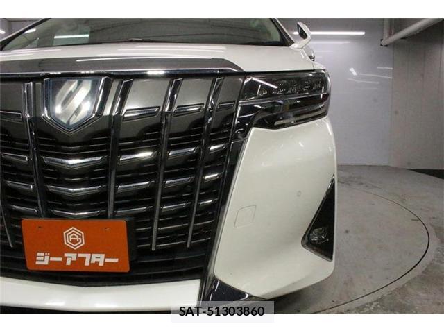 Toyota ALPHARD HYBRID 2019-07 8691005-13