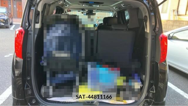 Toyota ALPHARD 2019-03 8691293-17