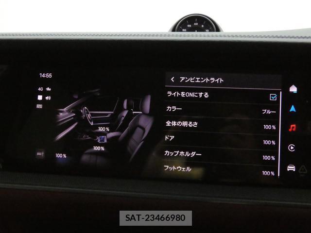 Porsche CAYENNE 2024-02 8691830-15