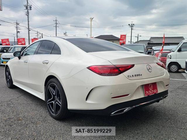 Mercedes Benz CLS-CLASS 2020-07 8690886-10