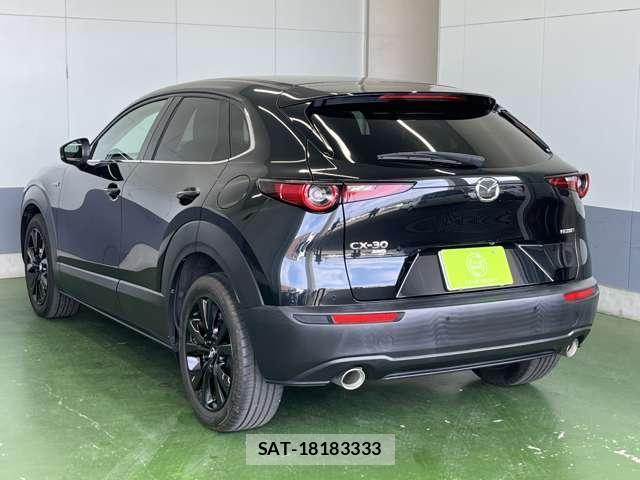 Mazda CX-30 2021-12 8691278-10