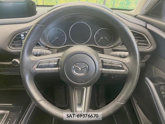 Mazda CX-30 2021-03 8691933-10