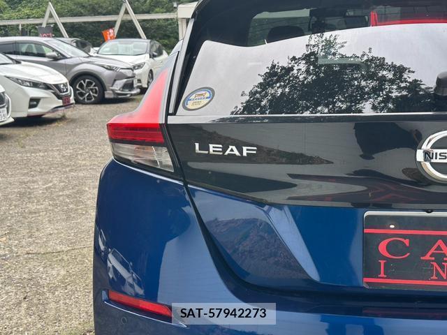 Nissan LEAF 2020-02 8691180-14