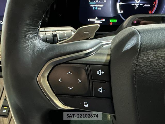Lexus LM 2024-03 8691748-13