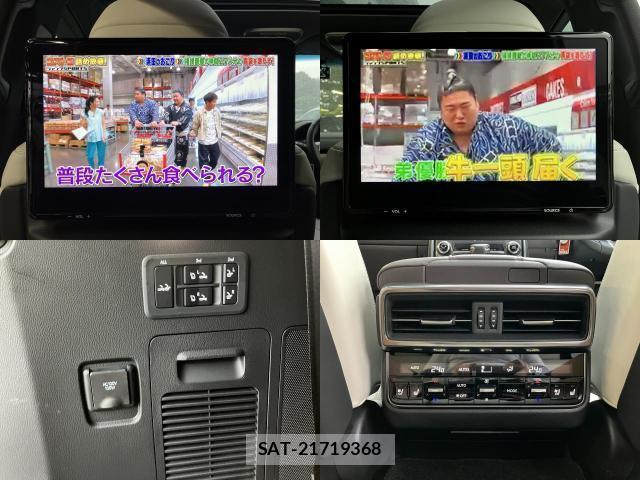 Lexus LX 2024-07 8690876-10