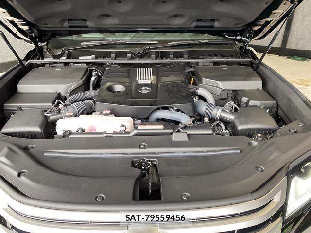 Lexus LX 2025-03 8691579-16