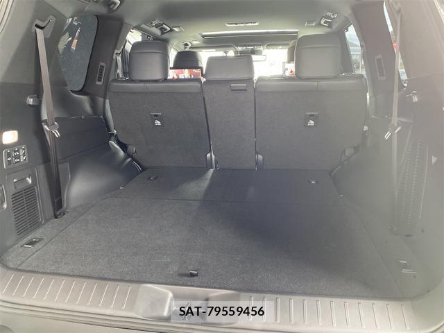 Lexus LX 2025-03 8691579-17