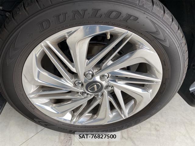 Lexus LX 2022-01 8691580-19