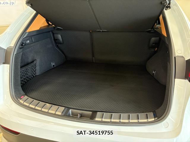 Lexus NX 2024-12 8690321-19