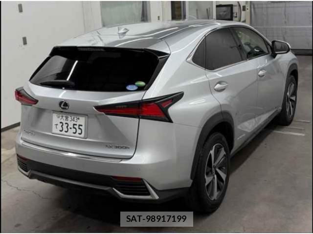 Lexus NX 2018-10 8690940-9
