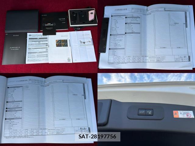 Lexus NX 2025-09 8691161-17