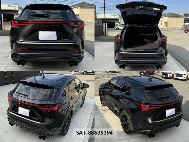 Lexus NX 2023-02 8691170-1