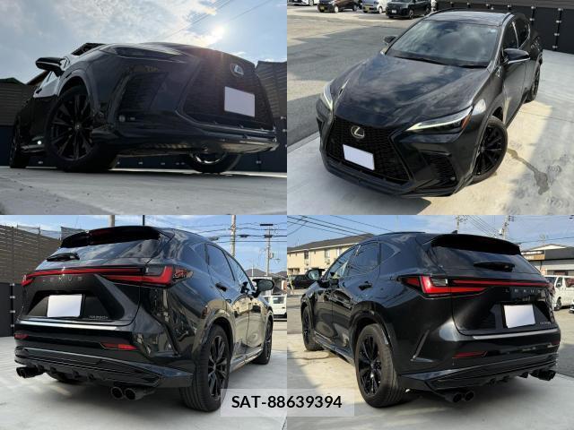 Lexus NX 2023-02 8691170-10