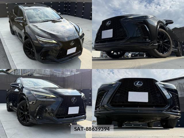 Lexus NX 2023-02 8691170-11