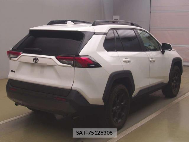Toyota RAV4 2021-08 8690919-10