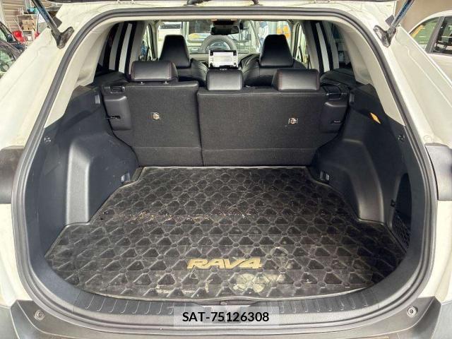 Toyota RAV4 2021-08 8690919-8