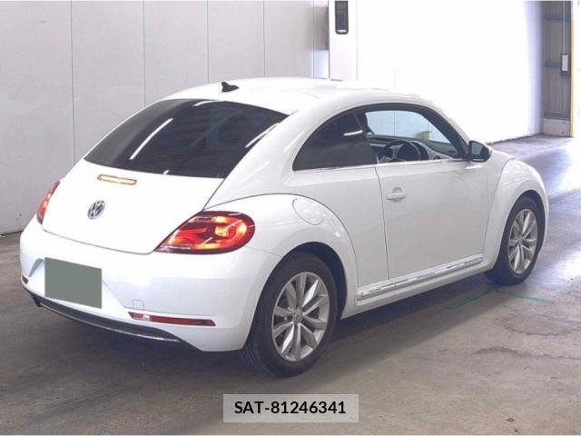 VolksWagen THE BEETLE 2018-09 8691861-4