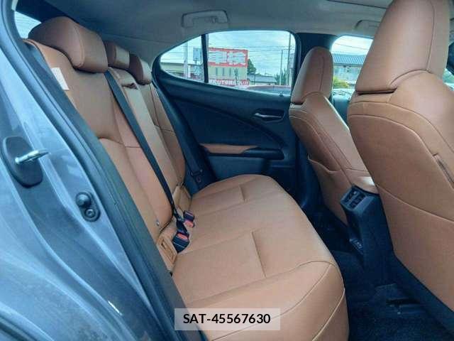 Lexus UX 2022-11 8691704-7