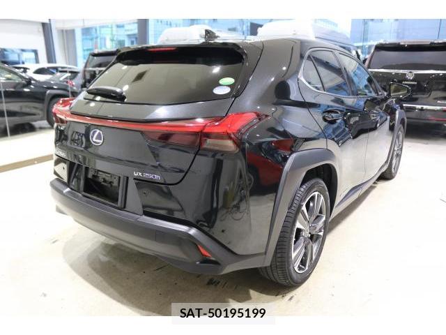 Lexus UX 2019-10 8691835-1