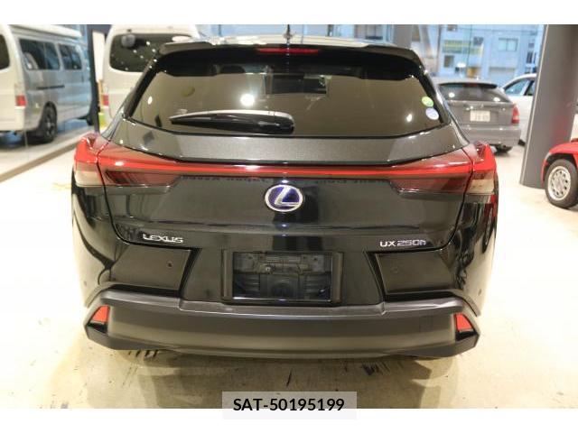 Lexus UX 2019-10 8691835-12