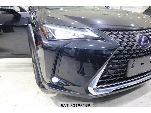 Lexus UX 2019-10 8691835-13