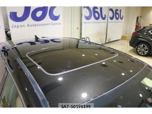 Lexus UX 2019-10 8691835-14