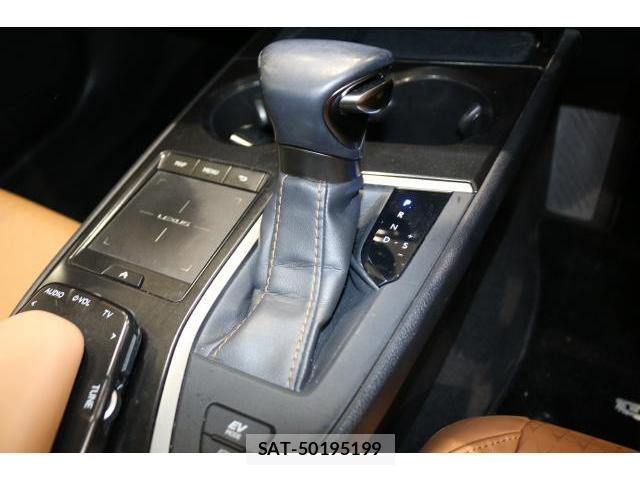 Lexus UX 2019-10 8691835-15
