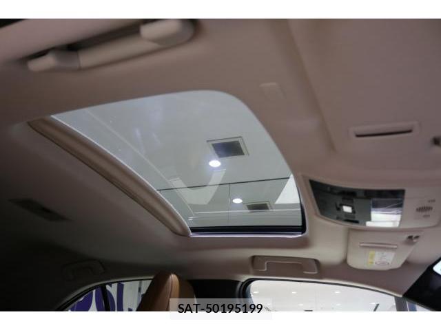 Lexus UX 2019-10 8691835-16