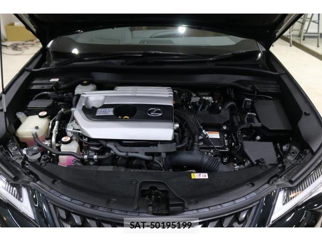 Lexus UX 2019-10 8691835-7