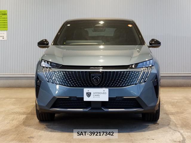 Peugeot 3008 2025-06 8731084-2
