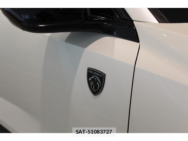 Peugeot 408 2023-06 8729528-10