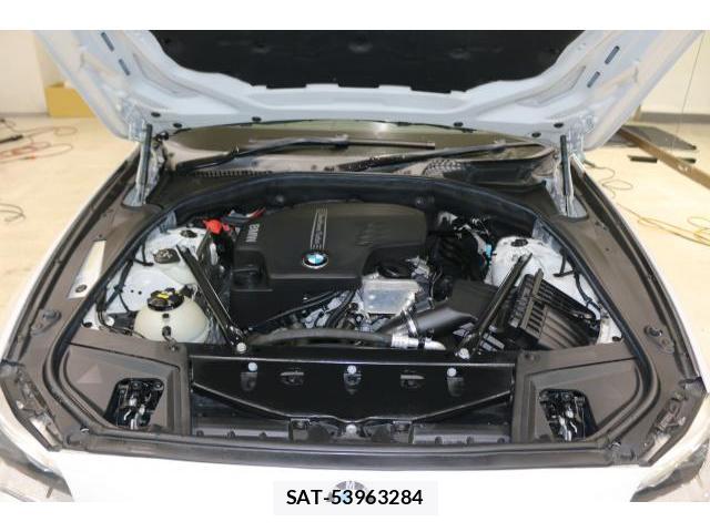 Bmw 5 SERIES 2017-03 8730603-7