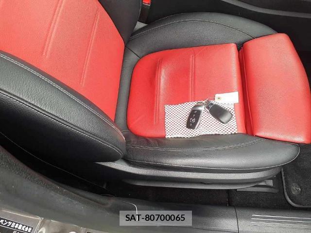 Mercedes Benz A-CLASS 2019-09 8729969-5