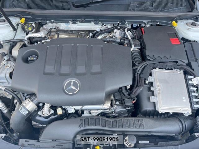 Mercedes Benz A-CLASS 2021-08 8731055-16