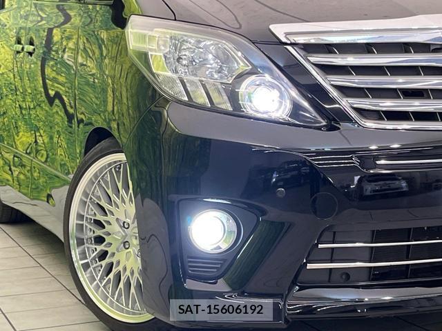 Toyota ALPHARD 2014-06 8725784-12